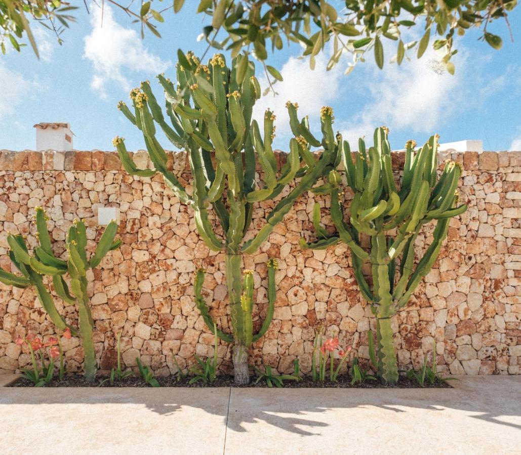 Agroturismo Ses Talaies ثيوداديلا المظهر الخارجي الصورة